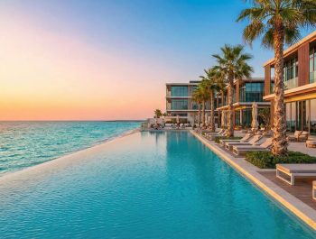 WhatsApp Image 2026-01-25 at 11.31.50