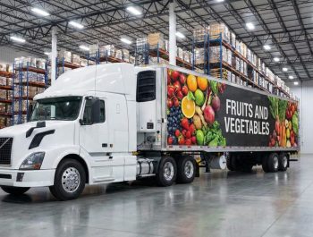 WhatsApp Image 2026-01-25 at 12.52.25